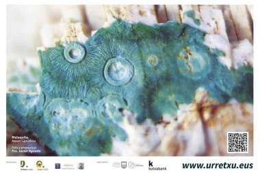 Exposiciones Monográficas “Amalur” | XXX. Semana de Mineralogía y Paleontología
