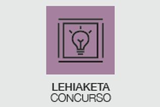 PINTURA LEHIAKETA. DEIALDI IREKIA