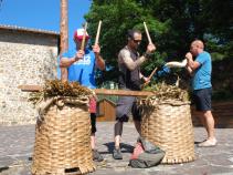 SAN JOAN EGUNA  (11)