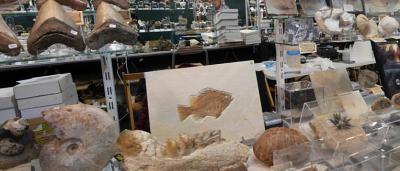 00_Exposición-Feria_7