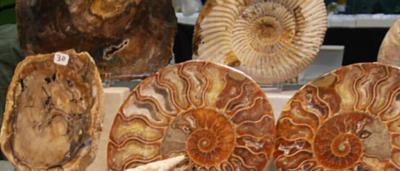 00_Exposición-Feria_13