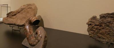 01_Exposición-Salas_7