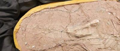 01_Exposición-Salas_15