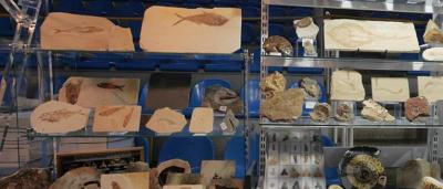 00_Exposición-Feria_8