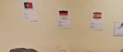 01_Exposición-Salas_11