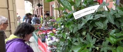 00_Puestos-de-flores-7