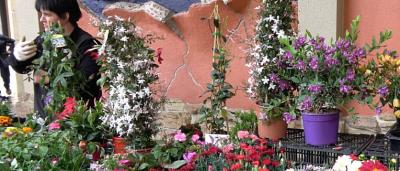 00_Puestos-de-flores-10