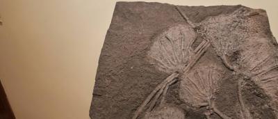 01_Exposición-Salas_6