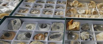 00_Exposición-Feria_11