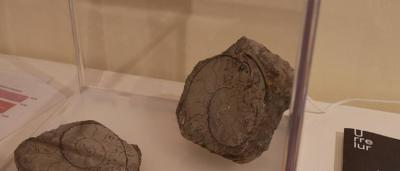 01_Exposición-Salas_01