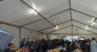 Azoka_Santalutz 2018033