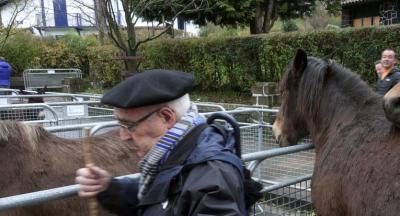 Animaliak_Santalutz 2018130