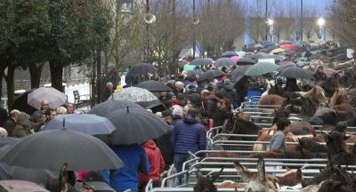 Animaliak_Santalutz 2018105