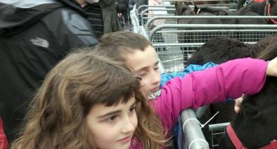 Animaliak_Santalutz 2018132