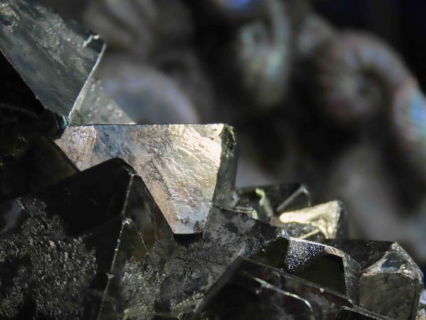 gaztetxoen 1. Amets Karrera