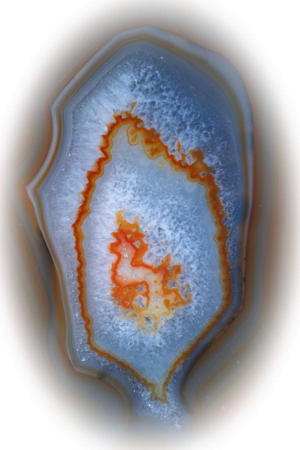 2. saria Carlos Mediavilla