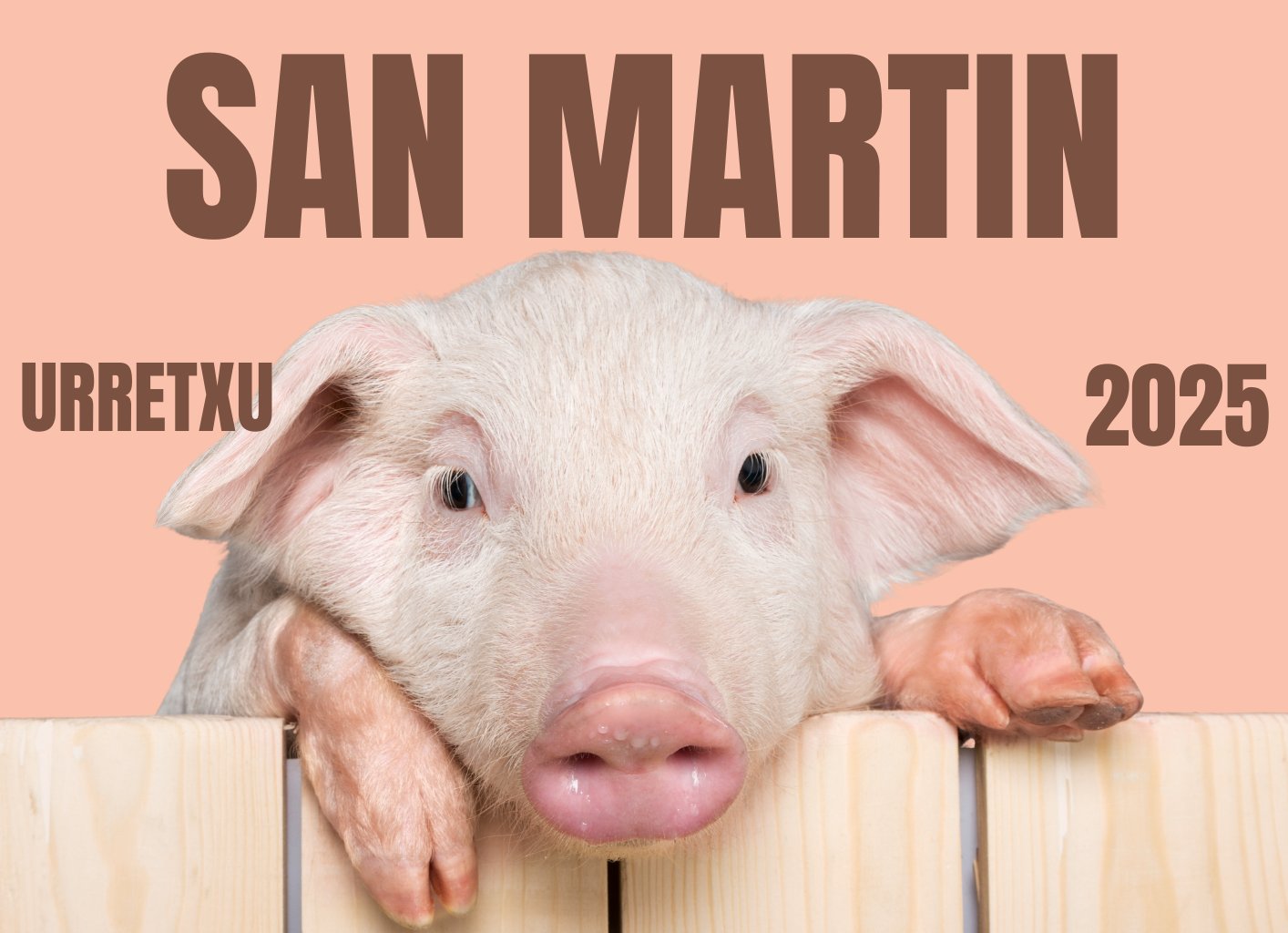 DIA DE SAN MARTIN 2025