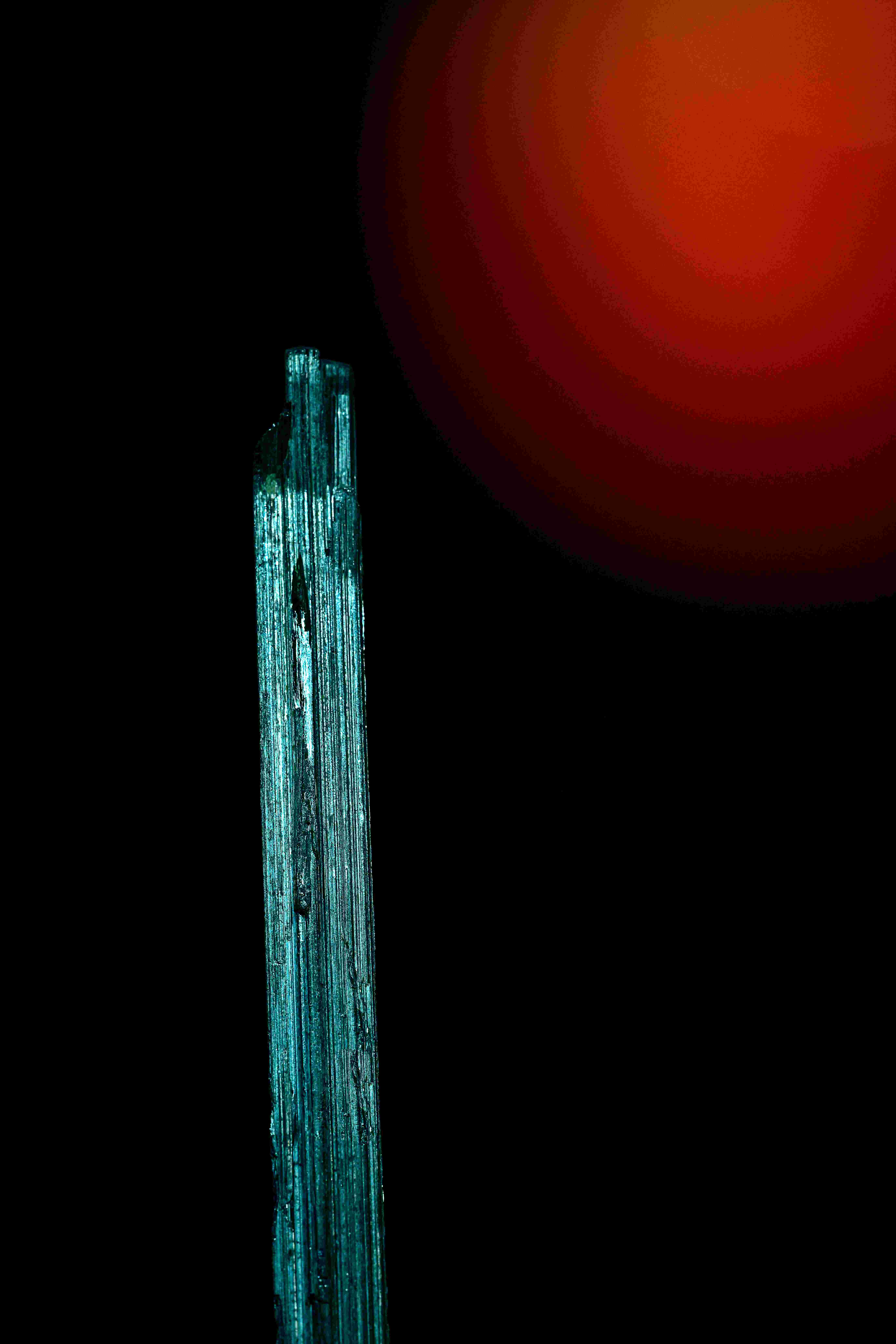 Urrelur astea argazki lehiaketa